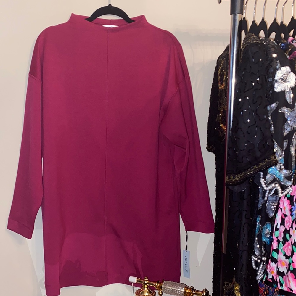NWT Prologue Dress